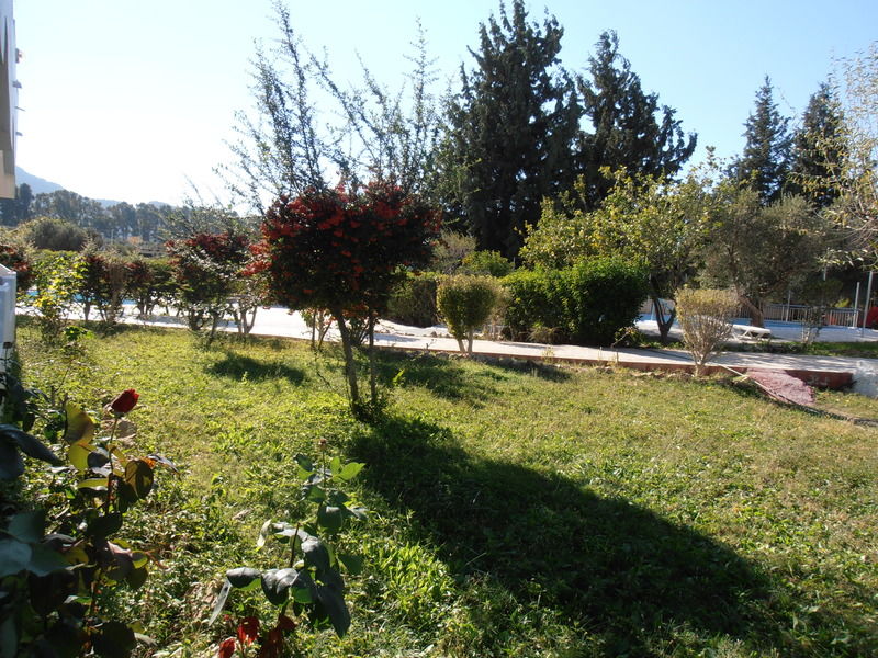 קולימביה Belvita Hotel מראה חיצוני תמונה
